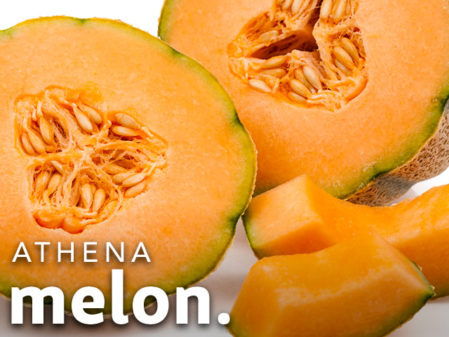 Athena Melon